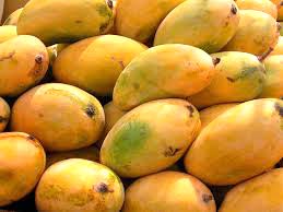 chausa mango