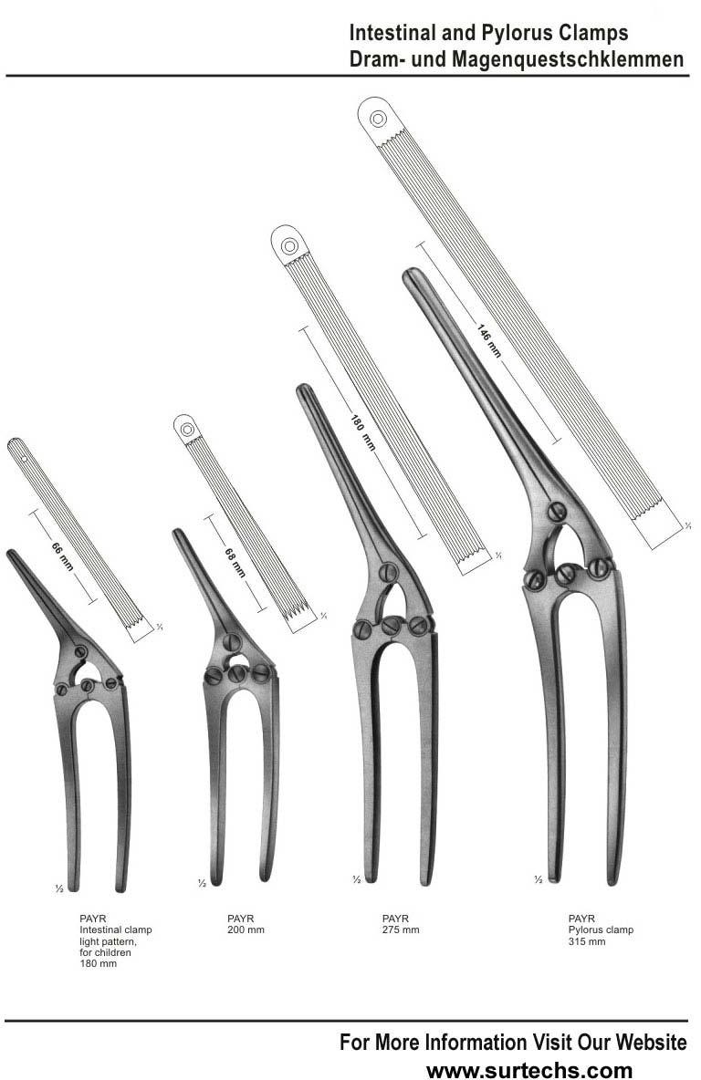 Surgical Intestinal Pylorus Clamps