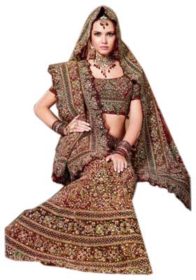 Embroidered Lehenga Choli : S1