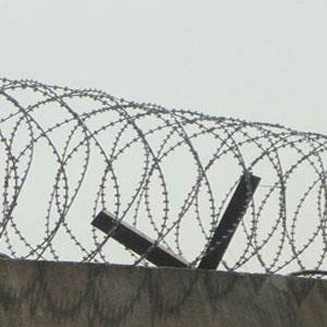 Concertina Razor Wire