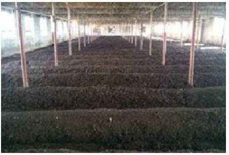 Organic Vermicompost Fertilizer