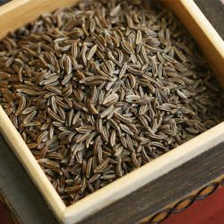 Caraway Seeds,dill Caraway Seeds
