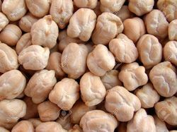 Chick Peas/ Kabuli Peas