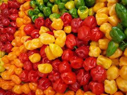 Fresh Habanero Peppers