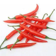 Fresh Red Chilli