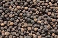 organic black pepper