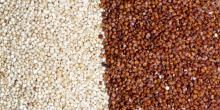 Quinoa Seeds