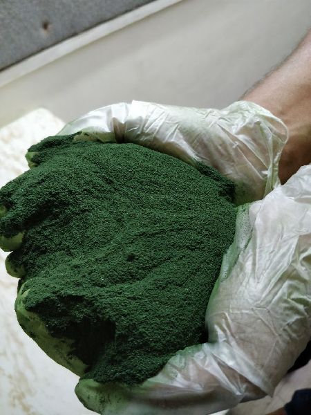 Spirulina powder, Color : Green