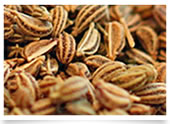 Ajwain Seeds, Purity : 99, 99.50% Min.
