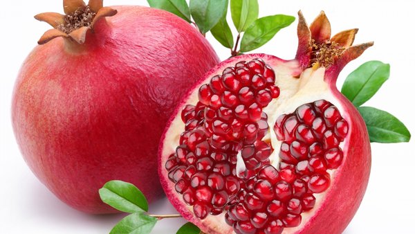 Common fresh pomegranate