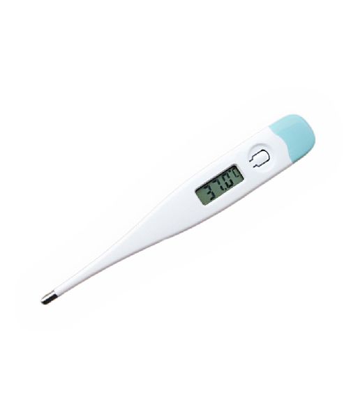 ridgid digital thermometer