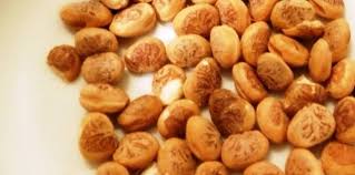 Chironji Nuts