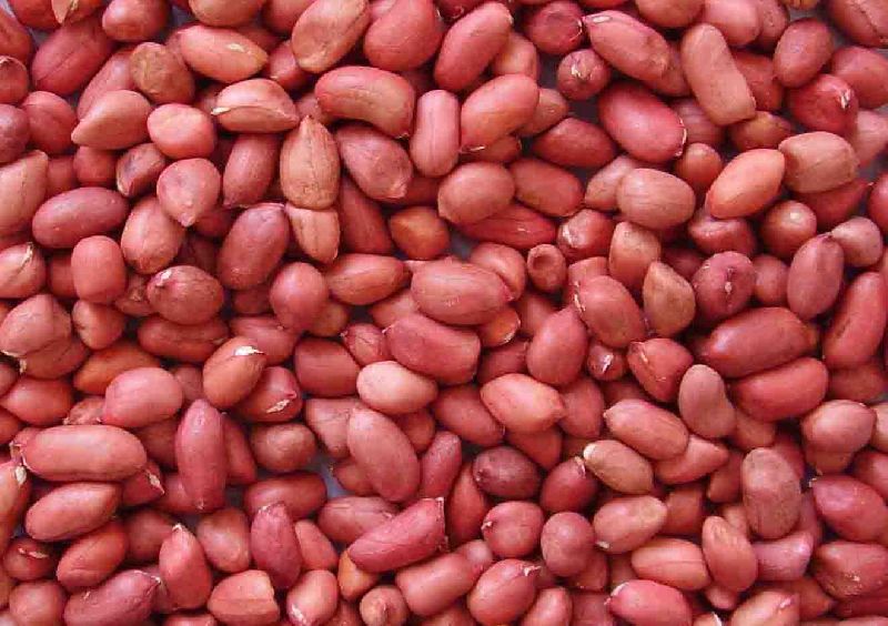 Groundnut Kernels