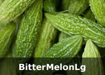 Organic Bitter Melon (Karela)
