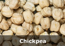 Organic Chickpeas