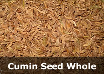 organic cumin seed