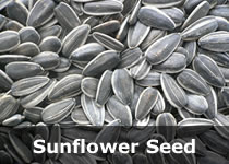 Organic Safflower Seeds