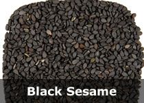 Organic Sesame Seeds