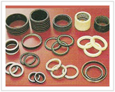 hydraulic seals