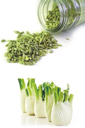 Fennel Seed