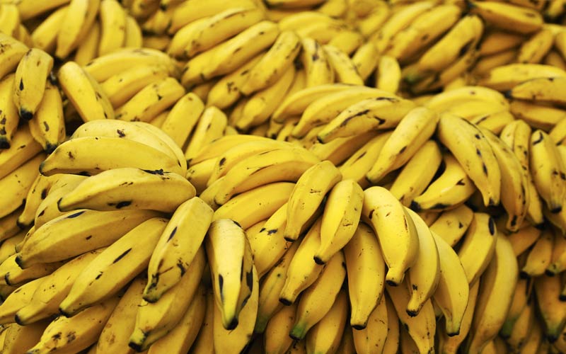Fresh banana, Color : Yellow