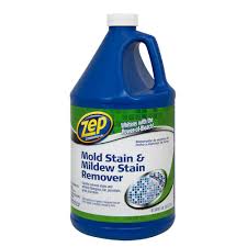 Mold Cleaners