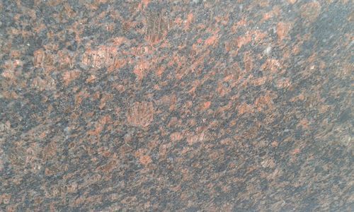 Tan Brown Granite Slabs, for Indoor Outdoor Decoration Ect