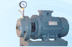 Mono Block Watering Vacuum Pump