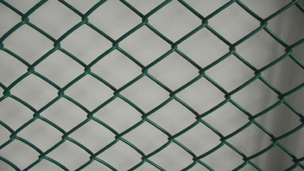 PVC Coated Wire Mesh - PVC Coated Welded Wire Mesh Manufacturer from Nagpur