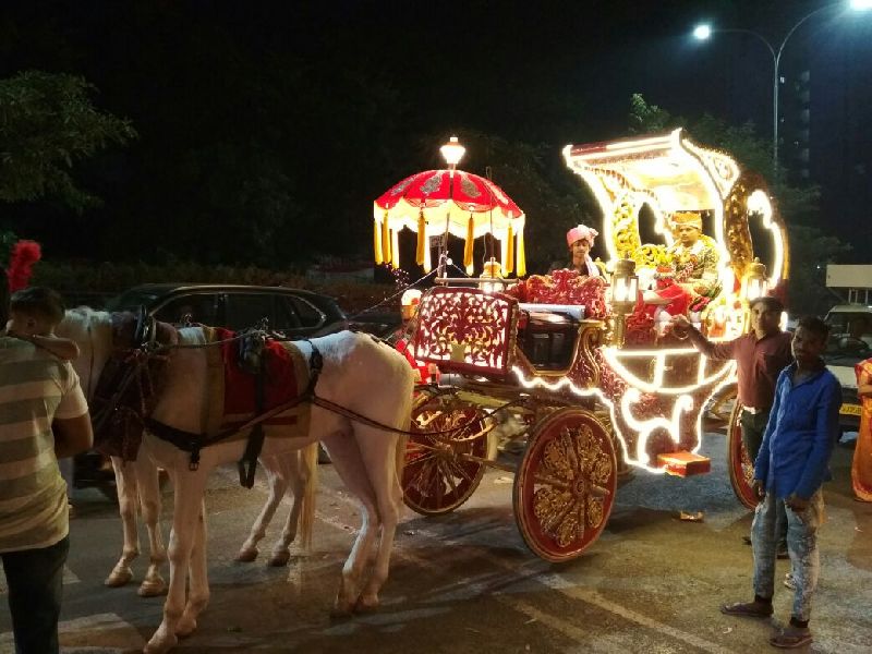 Wedding Royal horse Baggi( Chariot)