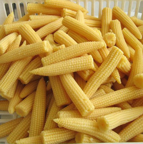 Iqf Baby Corn