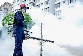 Mosquito Fogging Services