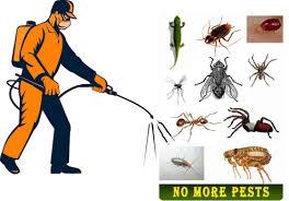Pest Control Service in DLF City Phase 2 Gurugram