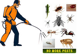 Pest Control Services in Udyog Vihar Phase 2 Gurugram