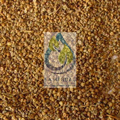 Apium Graveolens Seed Extract