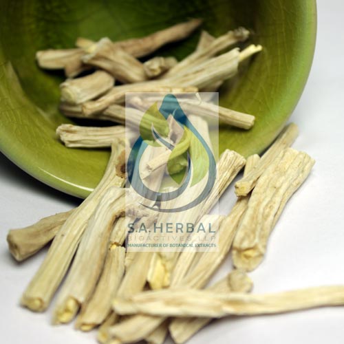 Asparagus Racemosus Extract