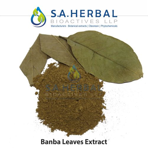 Banaba Leaves Extract