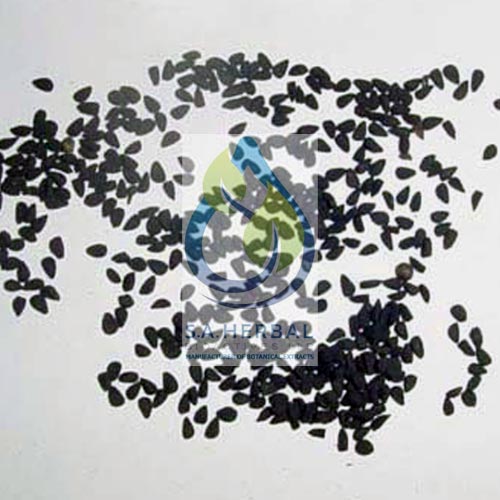 Nigella Sativa Extract