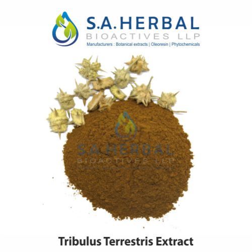 Tribullus Terrestris Extract