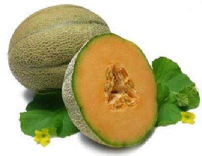 Muskmelon, Grade : A