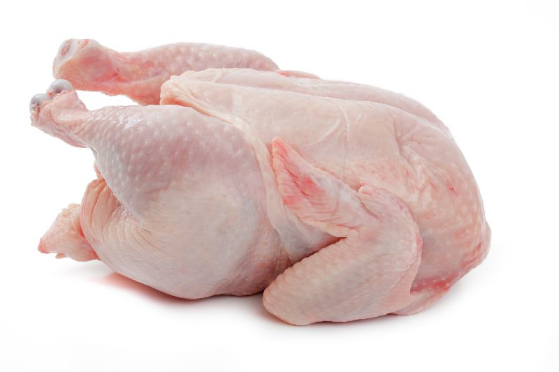 Chicken Breast, Grade A Halal Frozen Chicken Feet, Paws, Breast, Whole Chicken, Legs and Wings