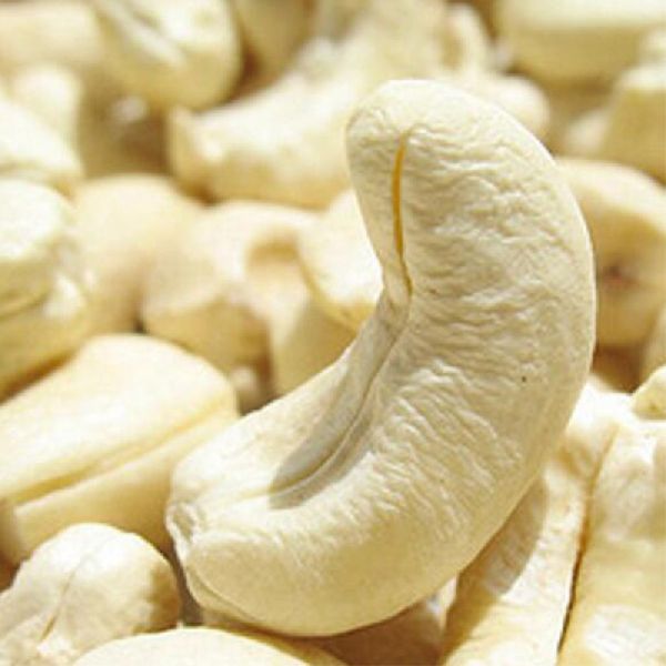 cashew nuts best price