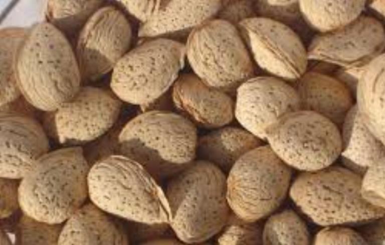 Quality grade A almond for sale