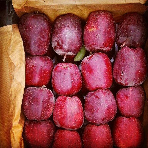 Fresh Apple By Zarheya Fruit Fresh Apple From Urmia Iran Islamic Republic Of Id