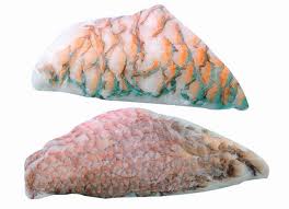 Frozen Parrot Fish Fillet Skin on Skin Off
