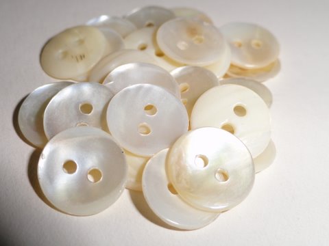 Indian River Shell Buttons, Color : White