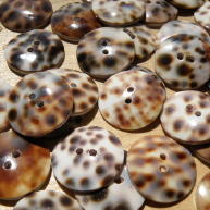 Leopard Print Shell Buttons