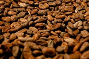 cocoa beans