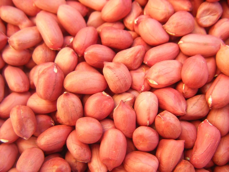 Java peanuts, Grade : export