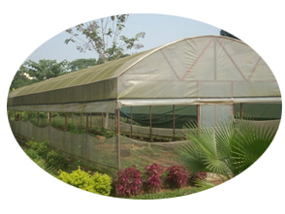 Naturally Ventilated Greenhouse, Size : 500smt, 1000smt, 2000smt, 4000smt